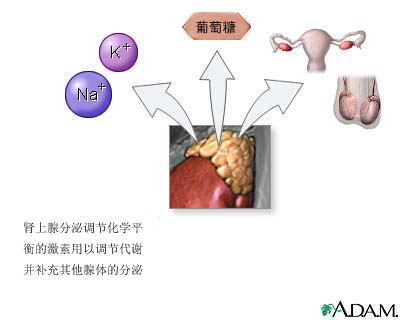 网投十大信誉可靠平台